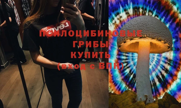 эйфоретик Елабуга