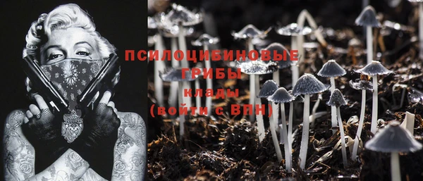 соль курить ск Ельня