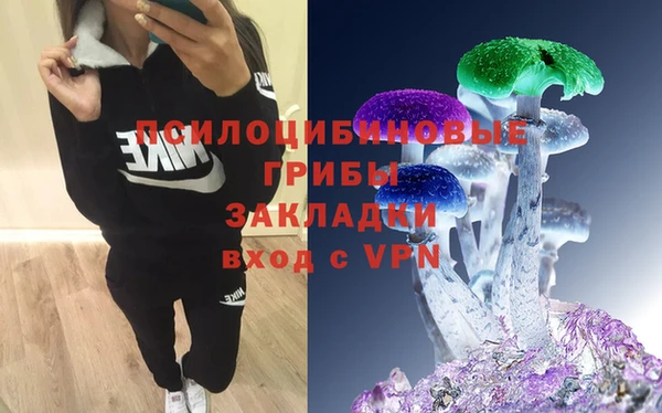 прущая мука Елизово