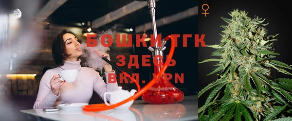 эйфоретик Елабуга