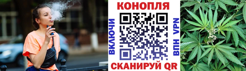 Каннабис конопля  Купить закладки  Киселёвск 
